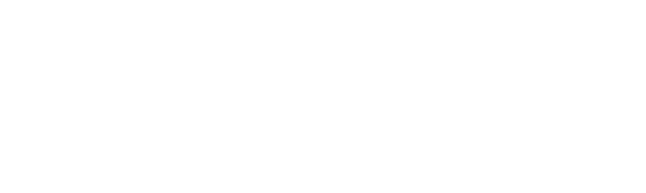 CROAI Logo